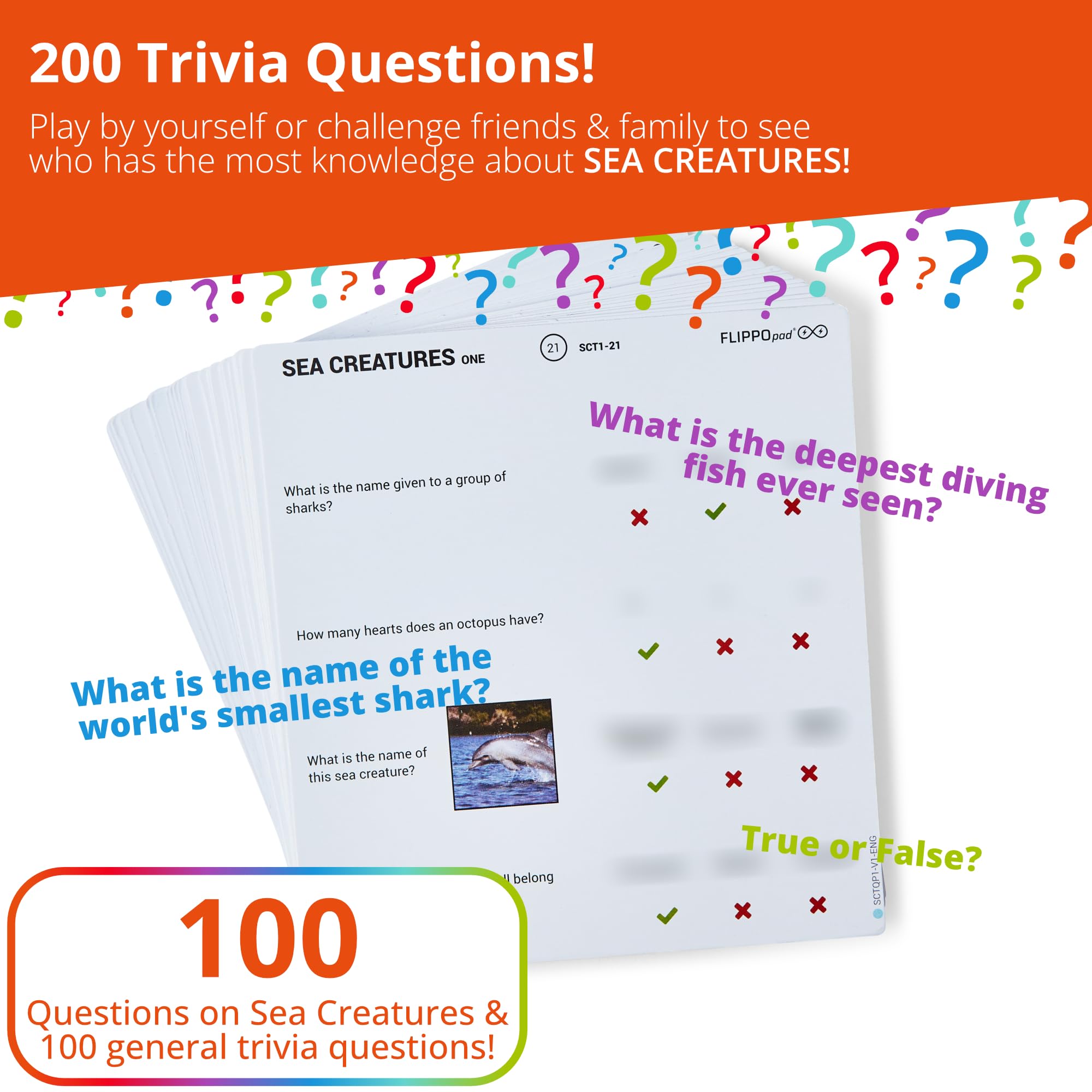 Juego de Quiz de Dispositivo Flippo Pad - Juego de - Imagen 5