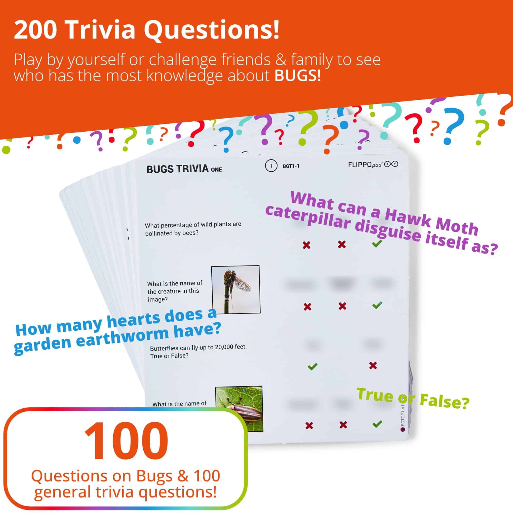 Juego de Preguntas sobre Insectos Flippo Pad - Juego de - Imagen 5