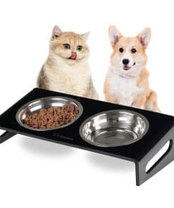 Comedero inclinado elevado de comida y agua para gatos o