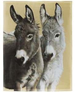 Manta de Burros Rstick Manta de Felpa Suave para Sofá Cama