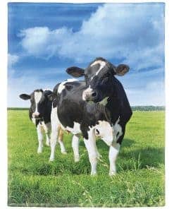 Manta de vacas Rstick en pradera, manta de lana de vaca