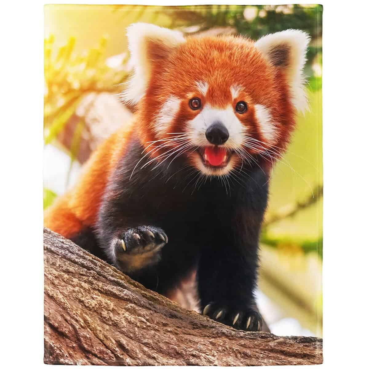 Manta Rstick Red Panda Blanket Cute Little Panda Fleece