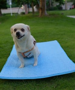 Colchoneta de Enfriamiento para Perros YUANST, Cama para