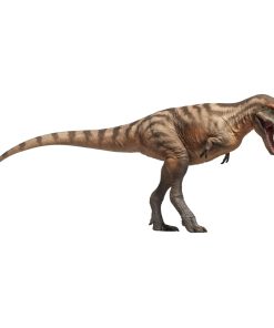 Figuras de Dinosaurios Prehistóricos PNSO (71Tristan El
