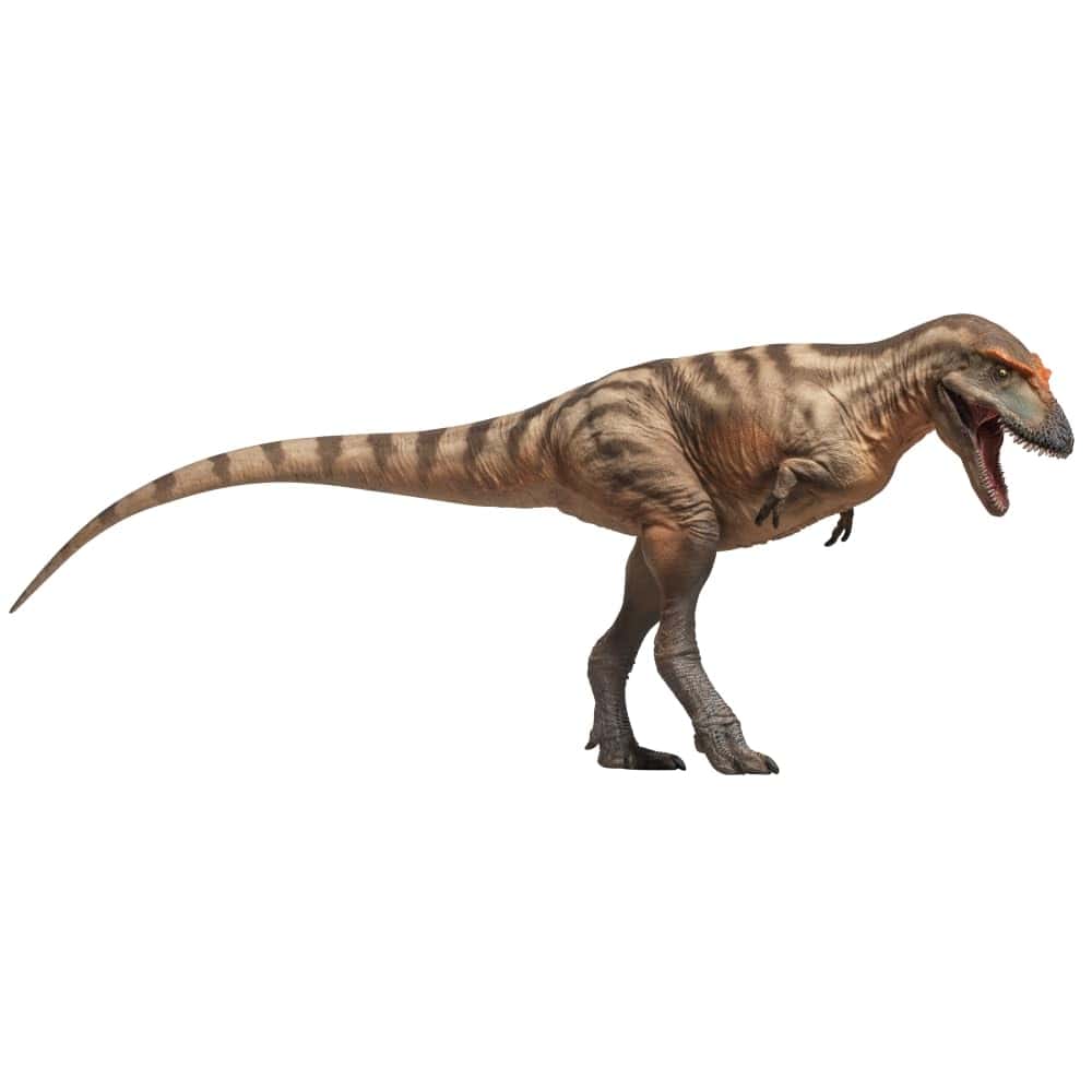 Figuras de Dinosaurios Prehistóricos PNSO (71Tristan El