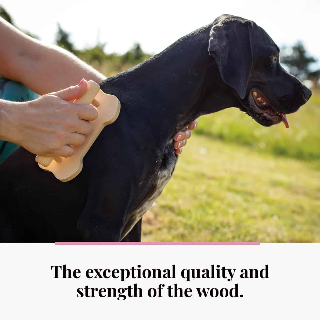 Masajeador de madera tuuli para perros, gatos, caballos, - Imagen 5