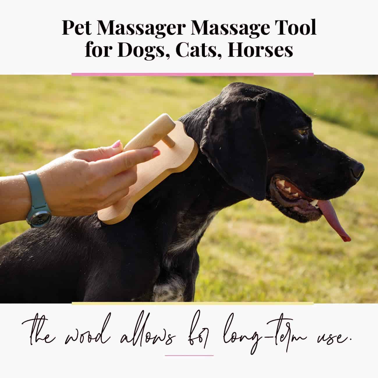 Masajeador de madera tuuli para perros, gatos, caballos, - Imagen 3