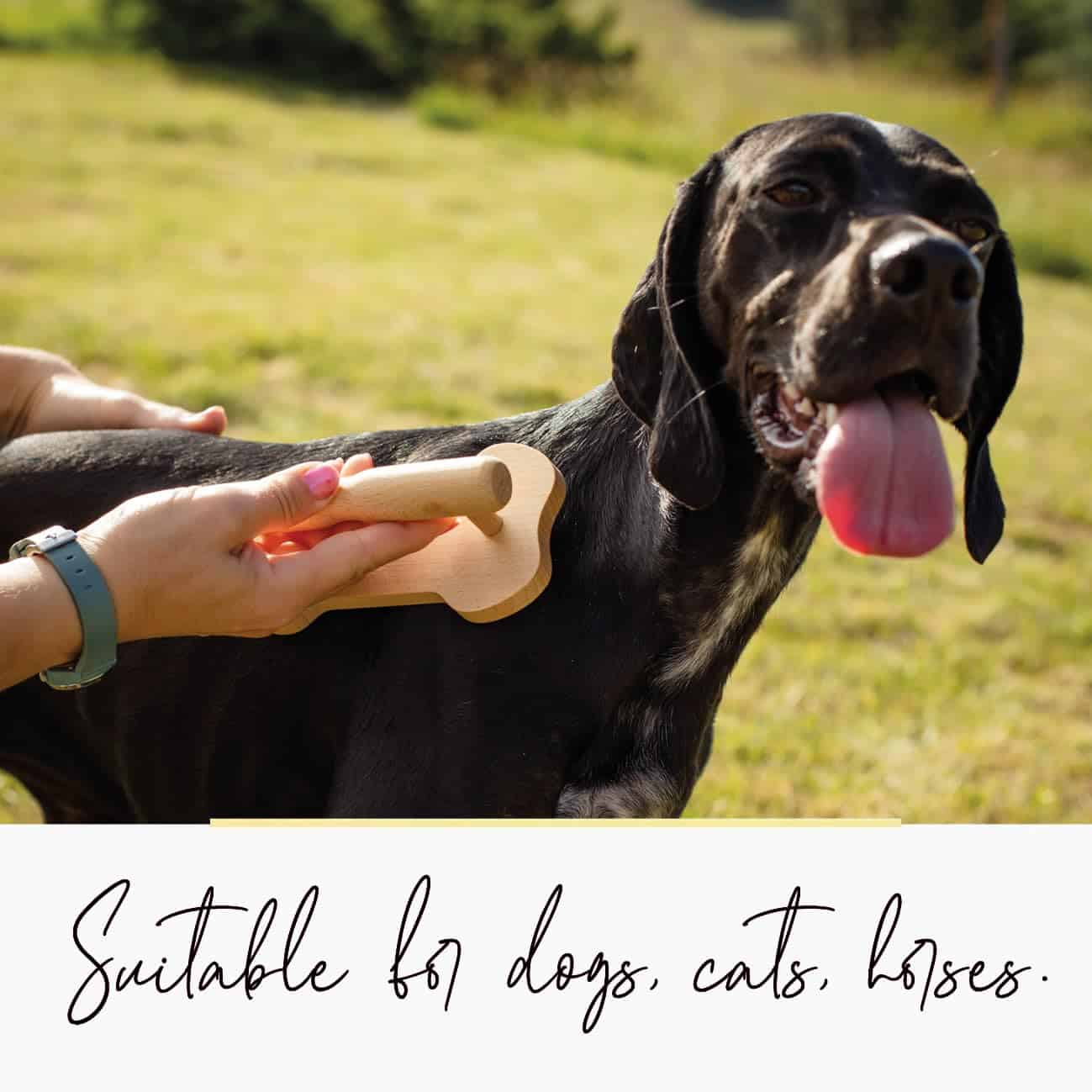 Masajeador de madera tuuli para perros, gatos, caballos, - Imagen 4