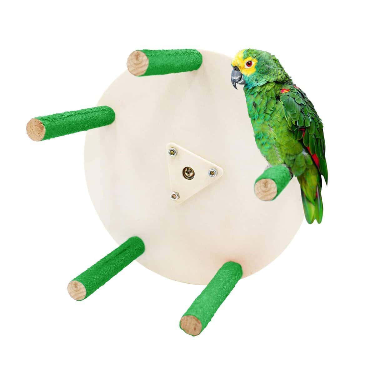 Juguete de Rueda de Perca de Pájaro Loro, Juguete de Percha