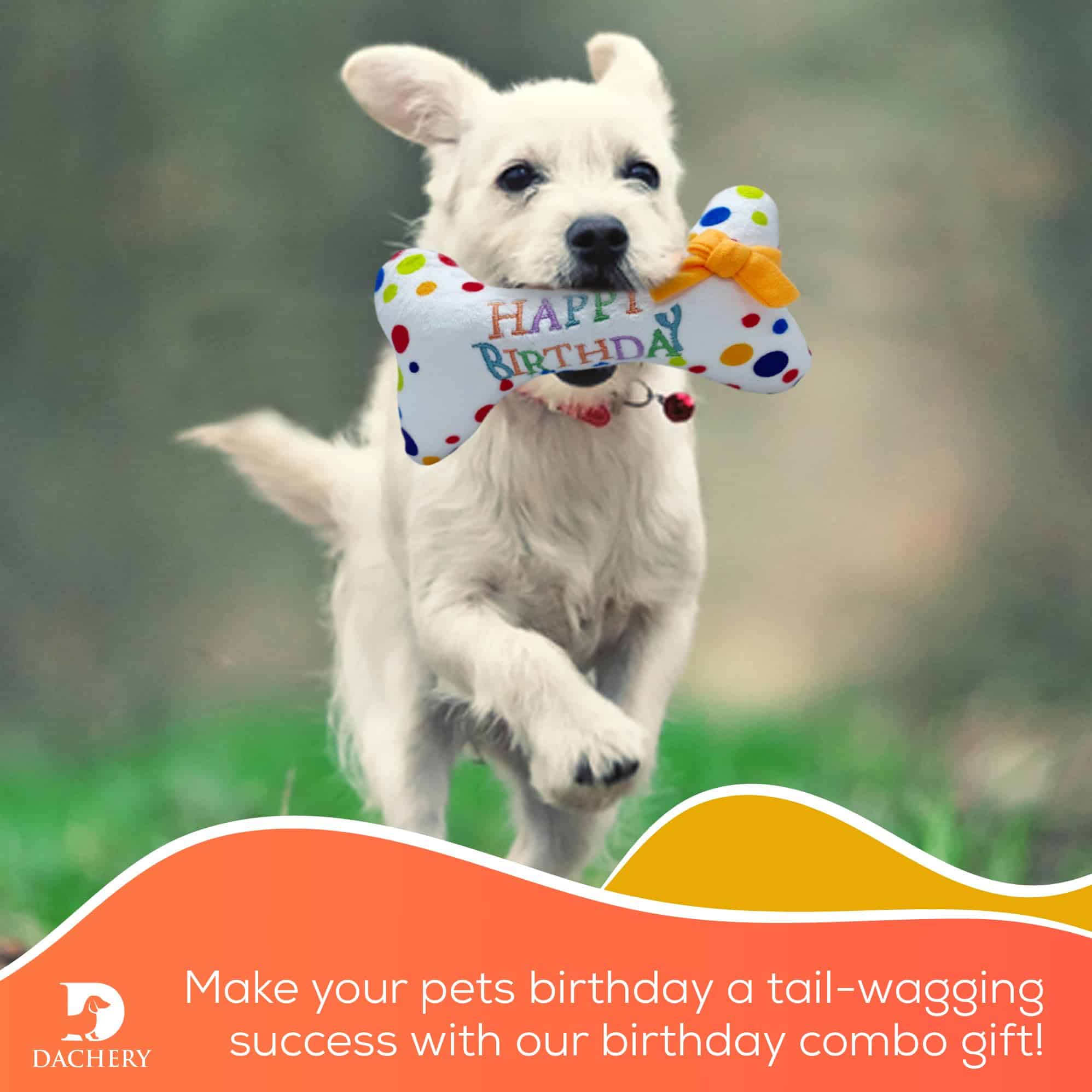 Juego de juguetes D Dachery Doggie Happy Birthday | Hueso - Imagen 4