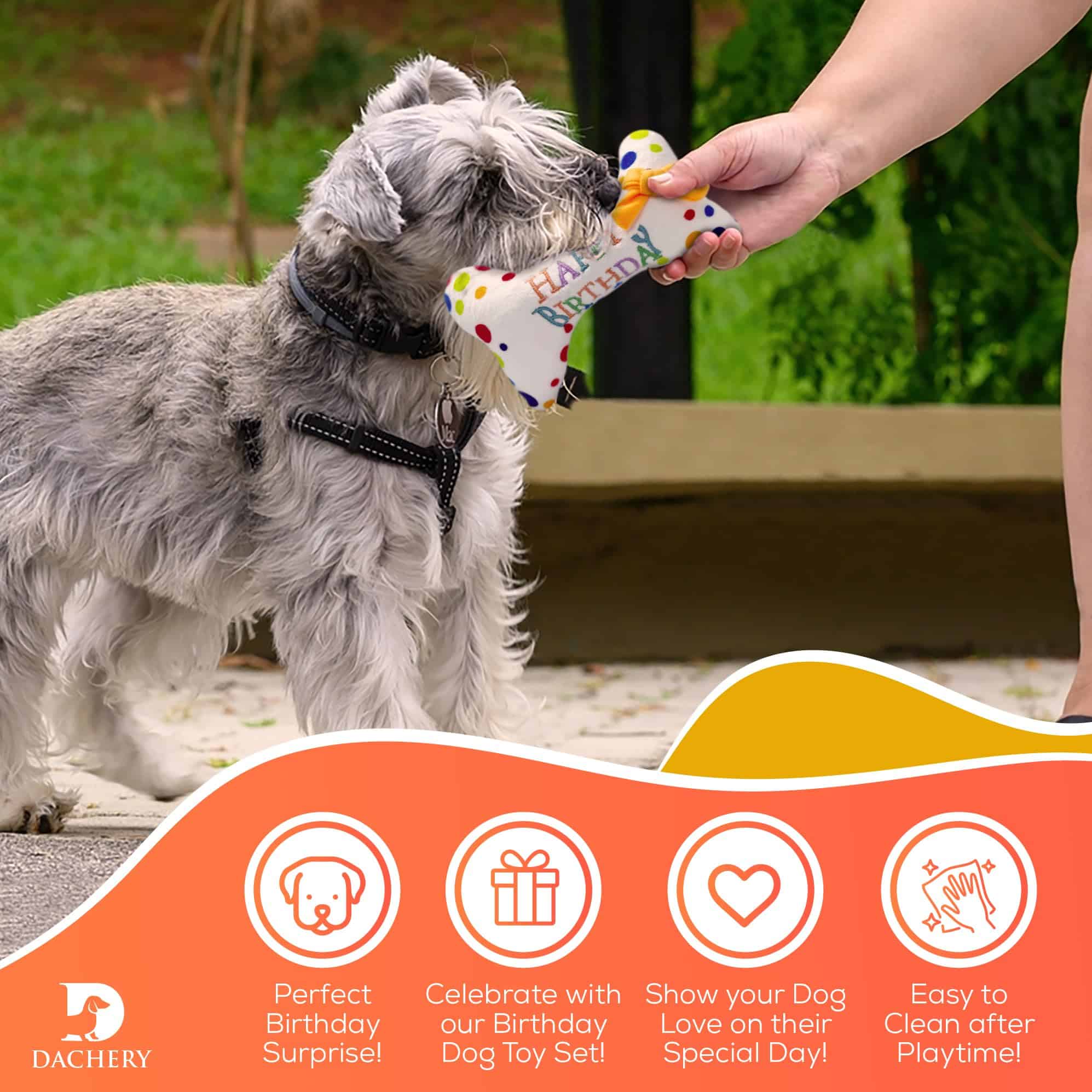 Juego de juguetes D Dachery Doggie Happy Birthday | Hueso - Imagen 6