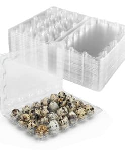 50 Pack Pequeños Cartones de Plástico para Huevos 2 Docenas