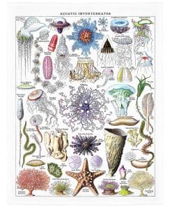 Manta de lanza de medusas SXCHEN 60" x 80" Mantas de felpa