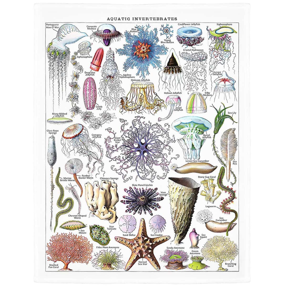 Manta de lanza de medusas SXCHEN 60" x 80" Mantas de felpa