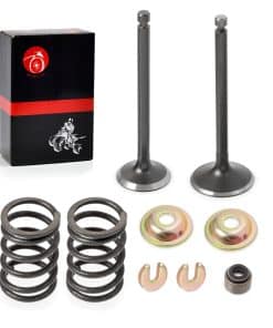 Kit de Reconstrucción de Válvula de Admisión y Escape con