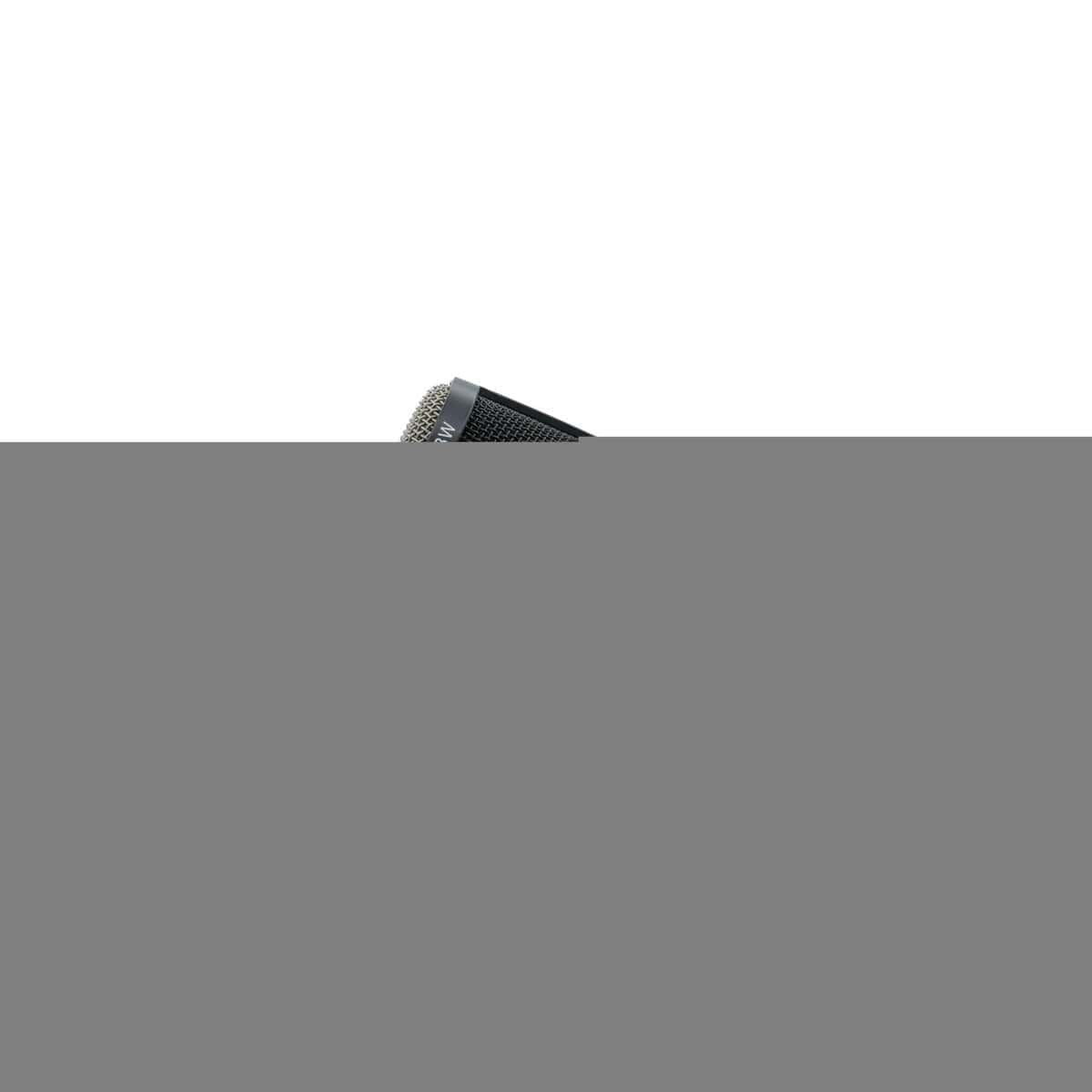 Micrófono de cuerpo corto de gran diámetro Heil Sound - Imagen 4