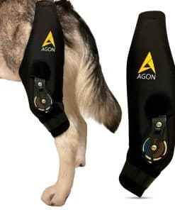 Férula de Rodilla para Perro AGON - Férula Profesional de
