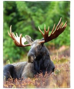 KLRIGR Manta de Forro Polar Suave y Acogedora para Sofá,