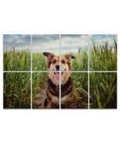 Paneles Acústicos de Arte, Panel de Pared Absorbente de