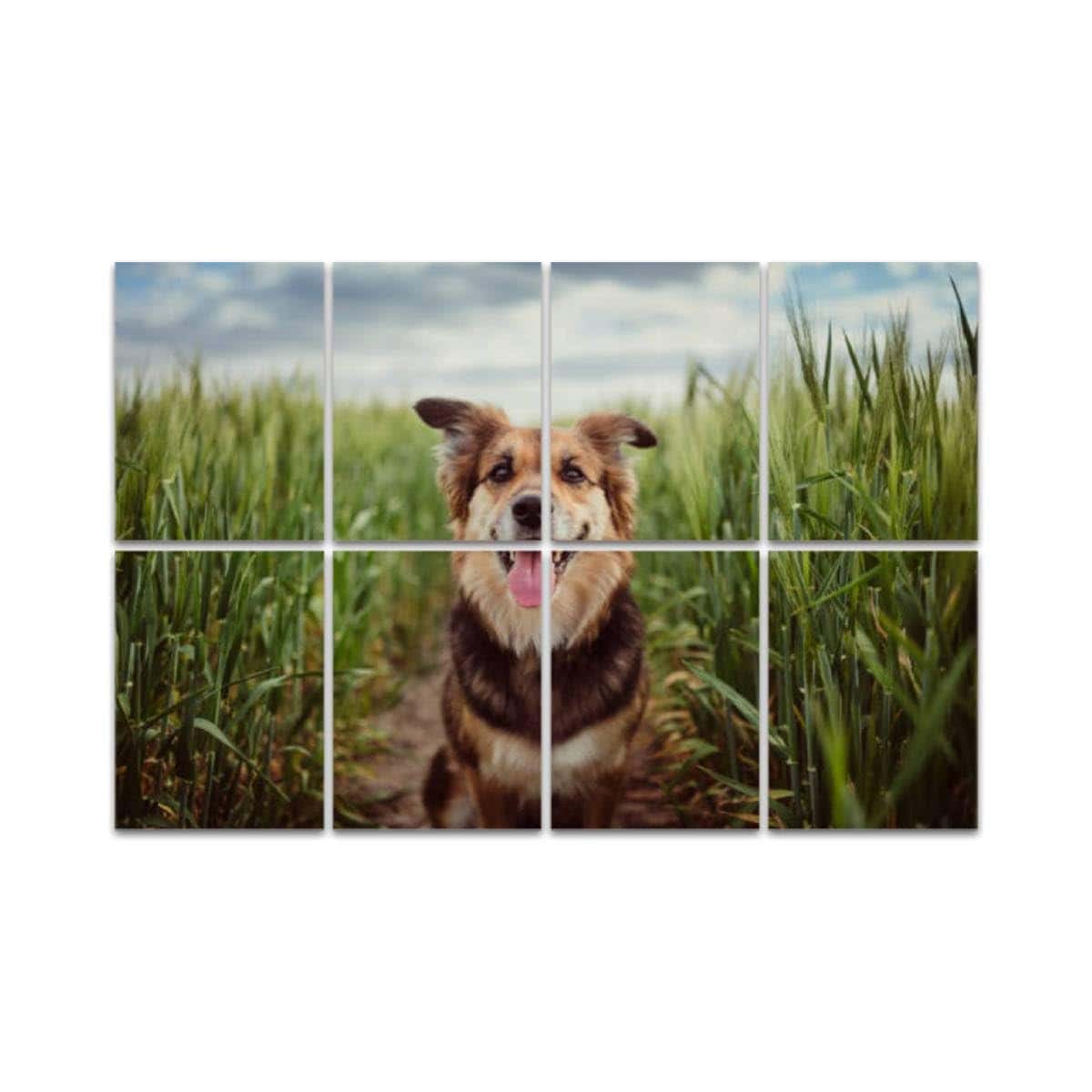 Paneles Acústicos de Arte, Panel de Pared Absorbente de