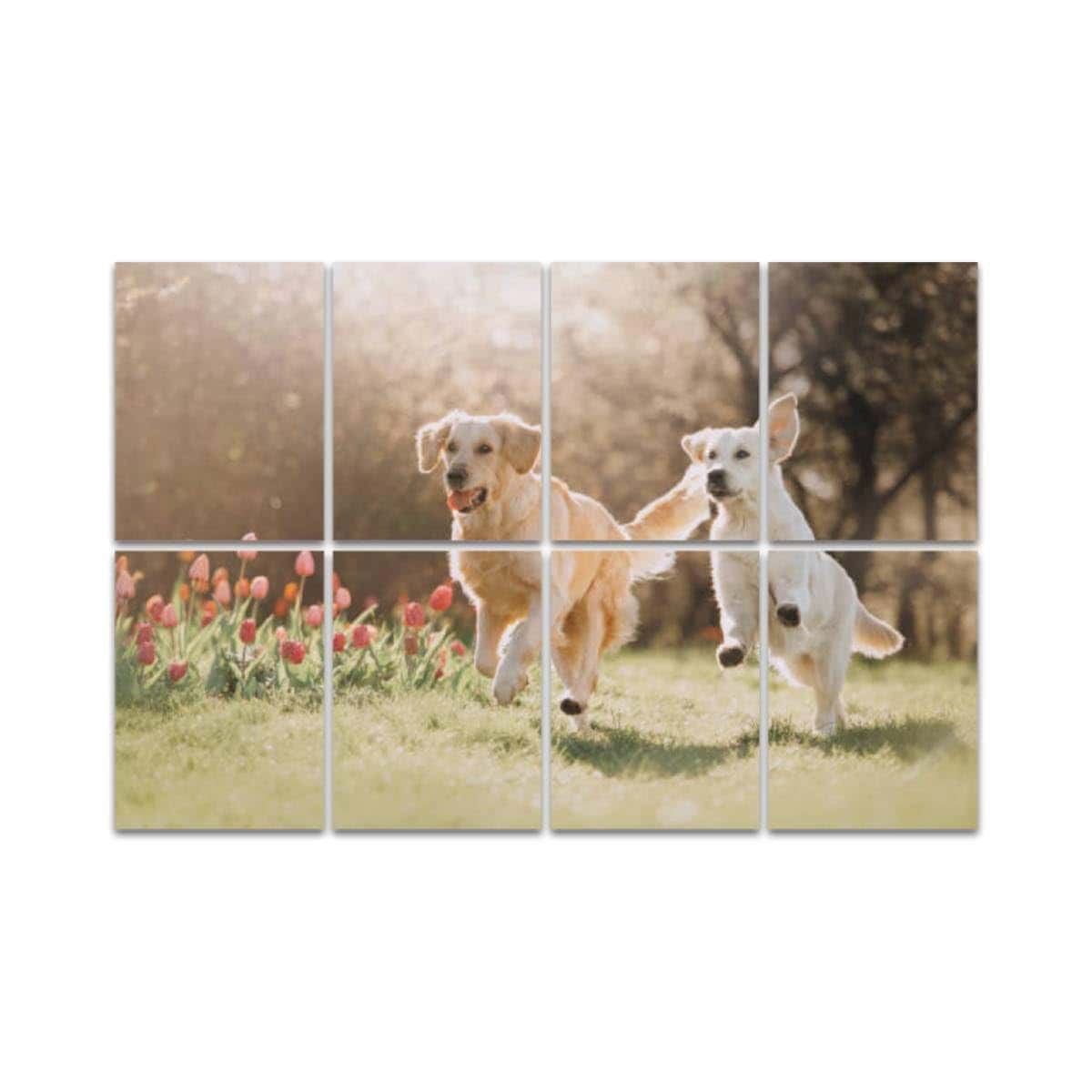 Paneles acústicos de arte, Dos perros Golden retriever