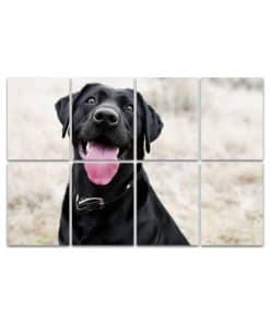 Paneles Acústicos de Arte, Panel de Pared Acústico Happy