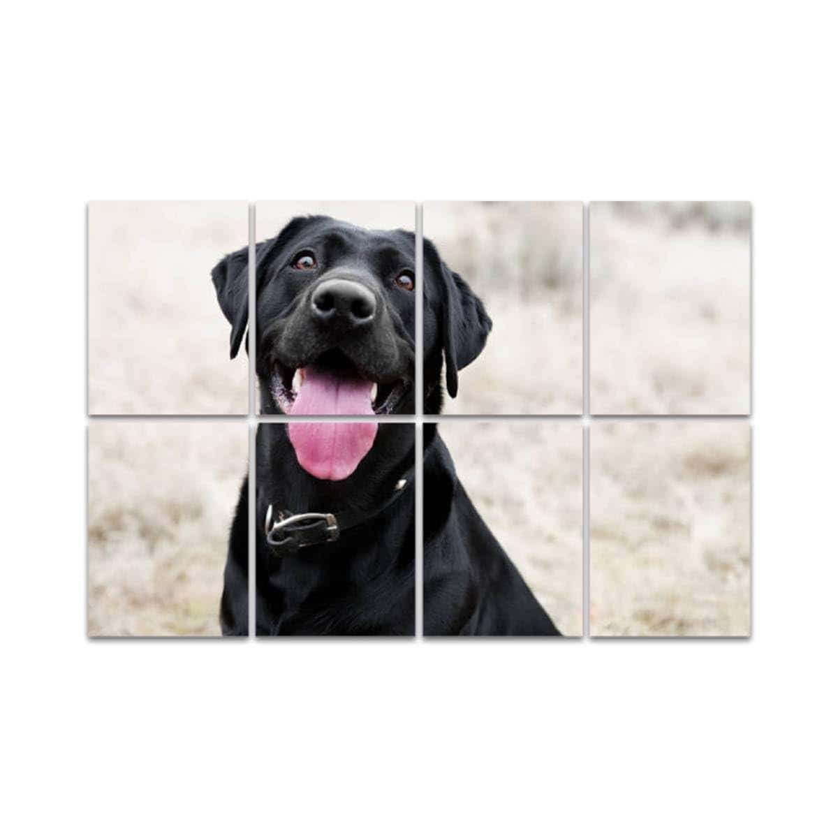 Paneles Acústicos de Arte, Panel de Pared Acústico Happy