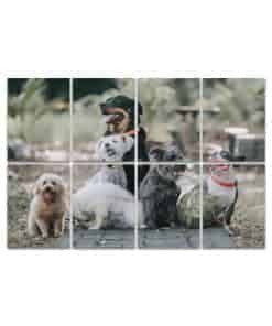 Paneles Acústicos de Arte, Rottweiler Bulldog Francés