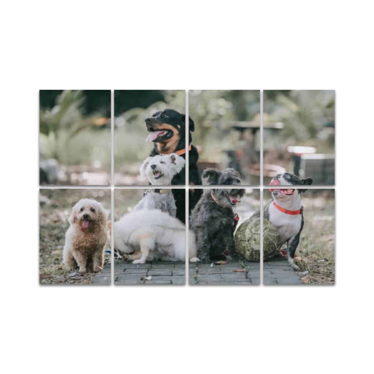 Paneles Acústicos de Arte, Rottweiler Bulldog Francés