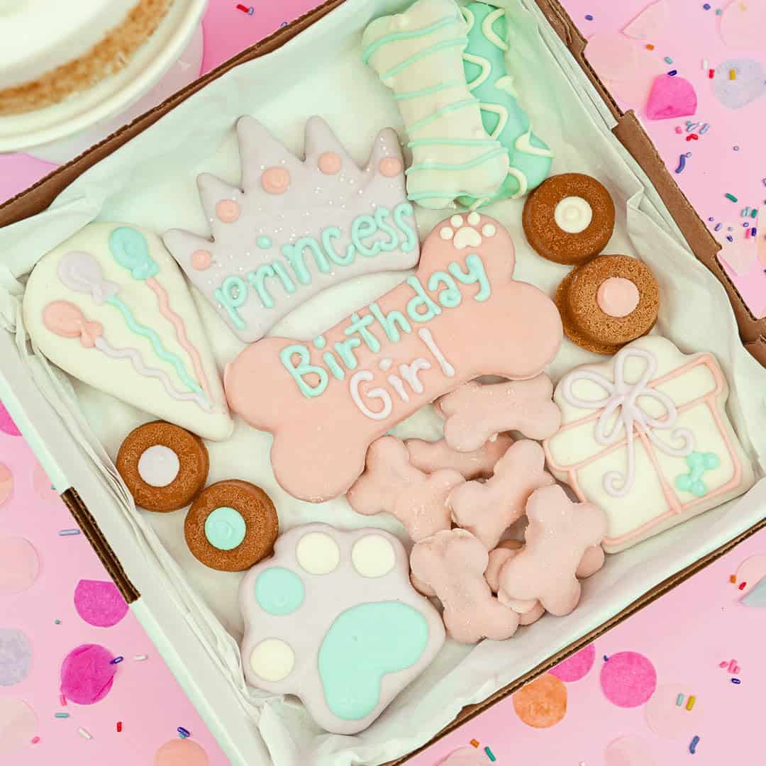 Caja de Galletas para Perros de Cumpleaños para Niñas |