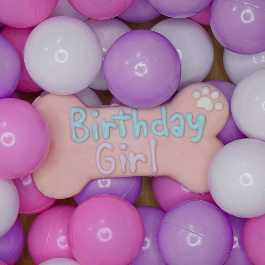 Caja de Galletas para Perros de Cumpleaños para Niñas | - Imagen 4