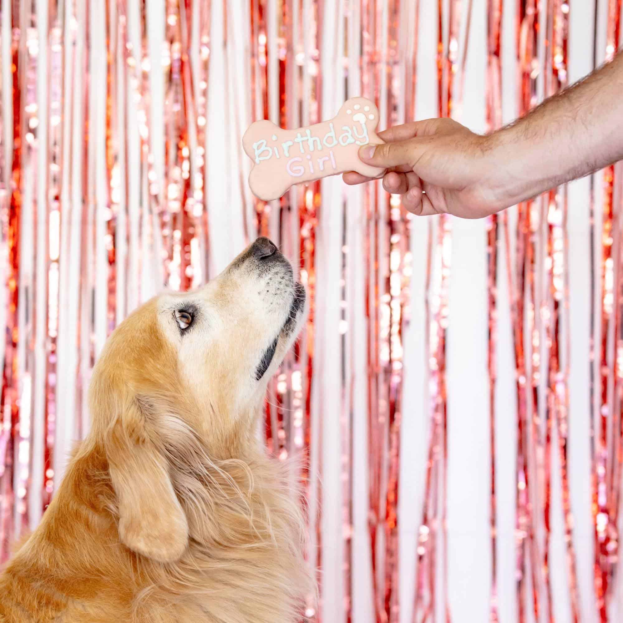 Caja de Galletas para Perros de Cumpleaños para Niñas | - Imagen 5