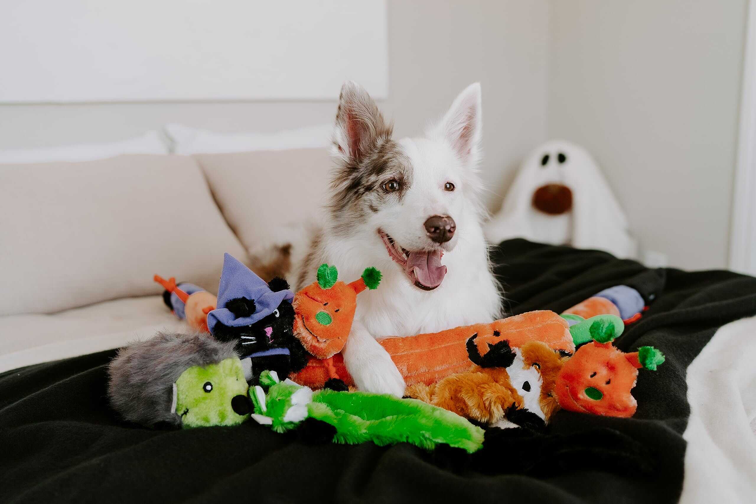 ZippyPaws Halloween Skinny Peltz - Zorro Zombi, Hurón - Imagen 5