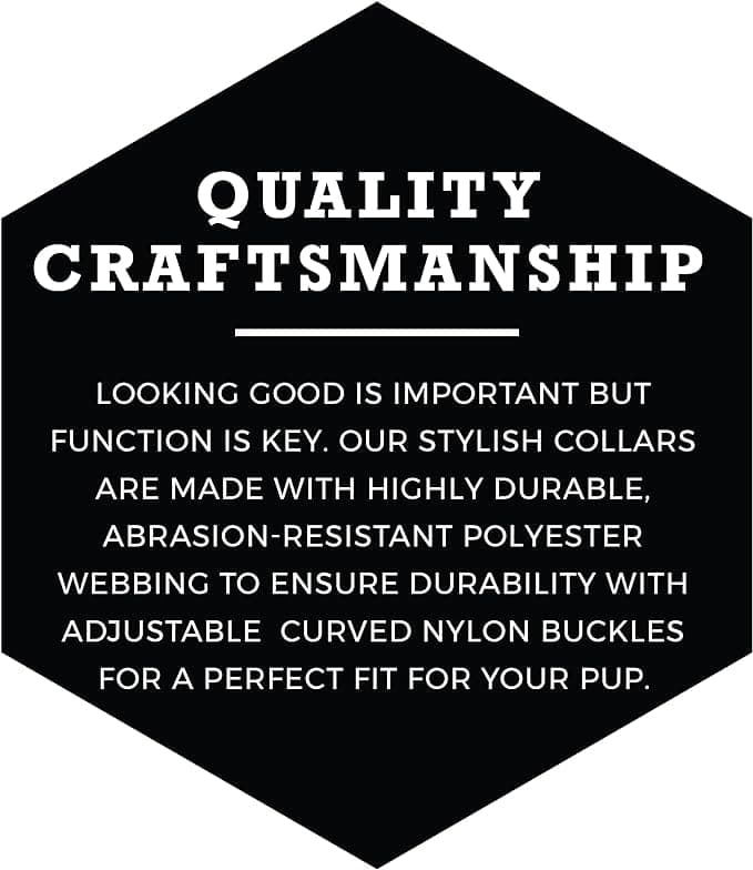 Collar de Entrenamiento Ajustable Premium para Perros de - Imagen 3