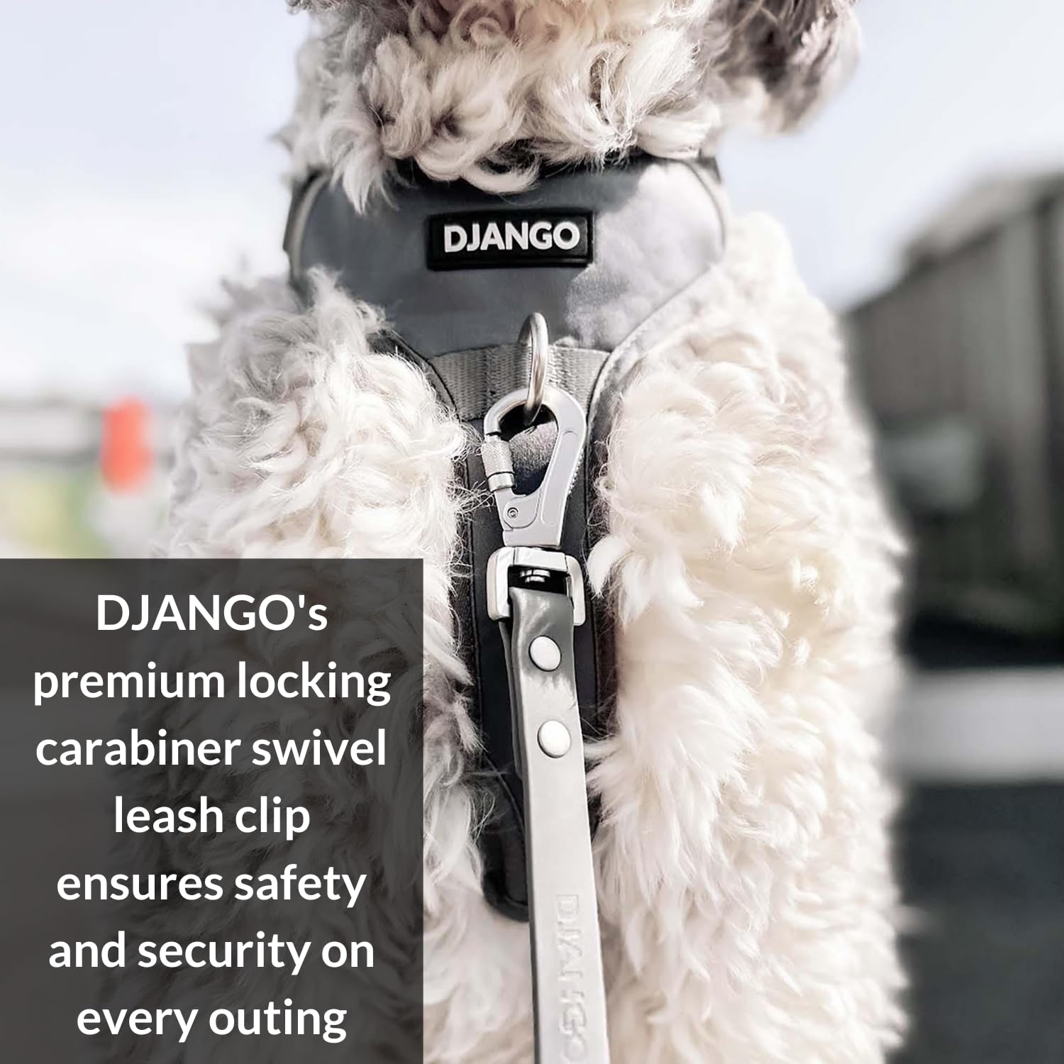 Correa para Perros DJANGO Tahoe Impermeable - Resistente, - Imagen 4