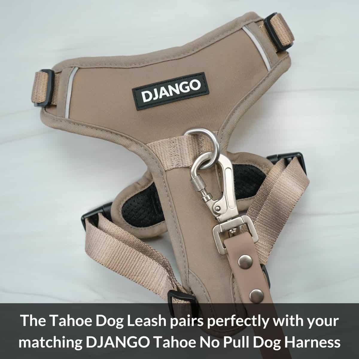 Correa impermeable para perros DJANGO Tahoe - Resistente, - Imagen 10
