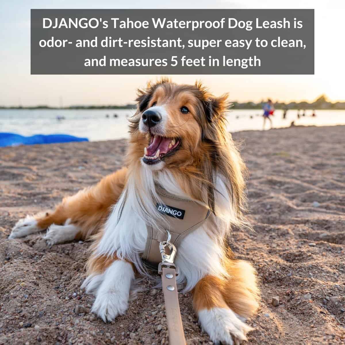 Correa impermeable para perros DJANGO Tahoe - Resistente, - Imagen 3