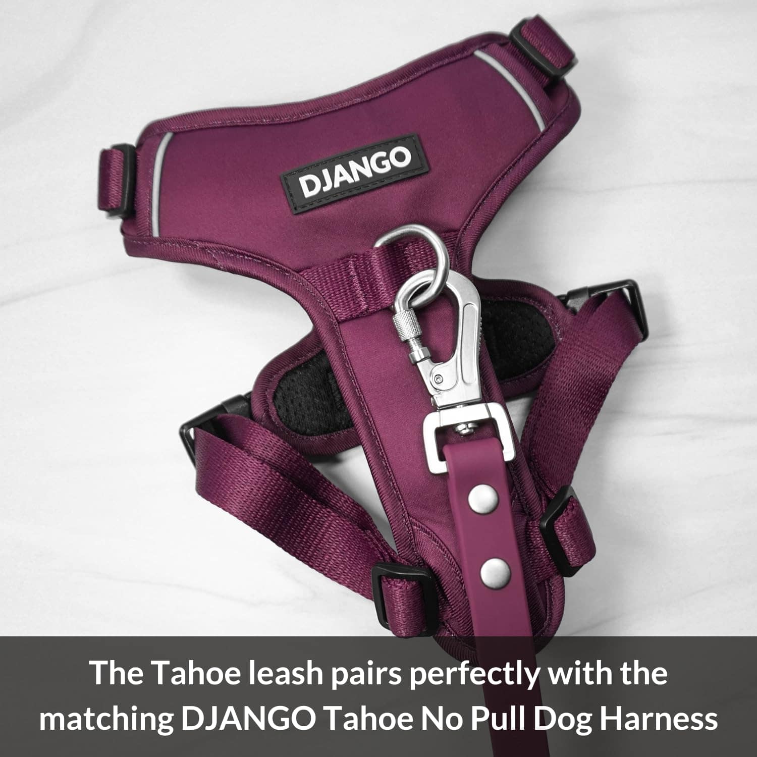 Correa para Perro Impermeable DJANGO Tahoe - Resistente, - Imagen 9