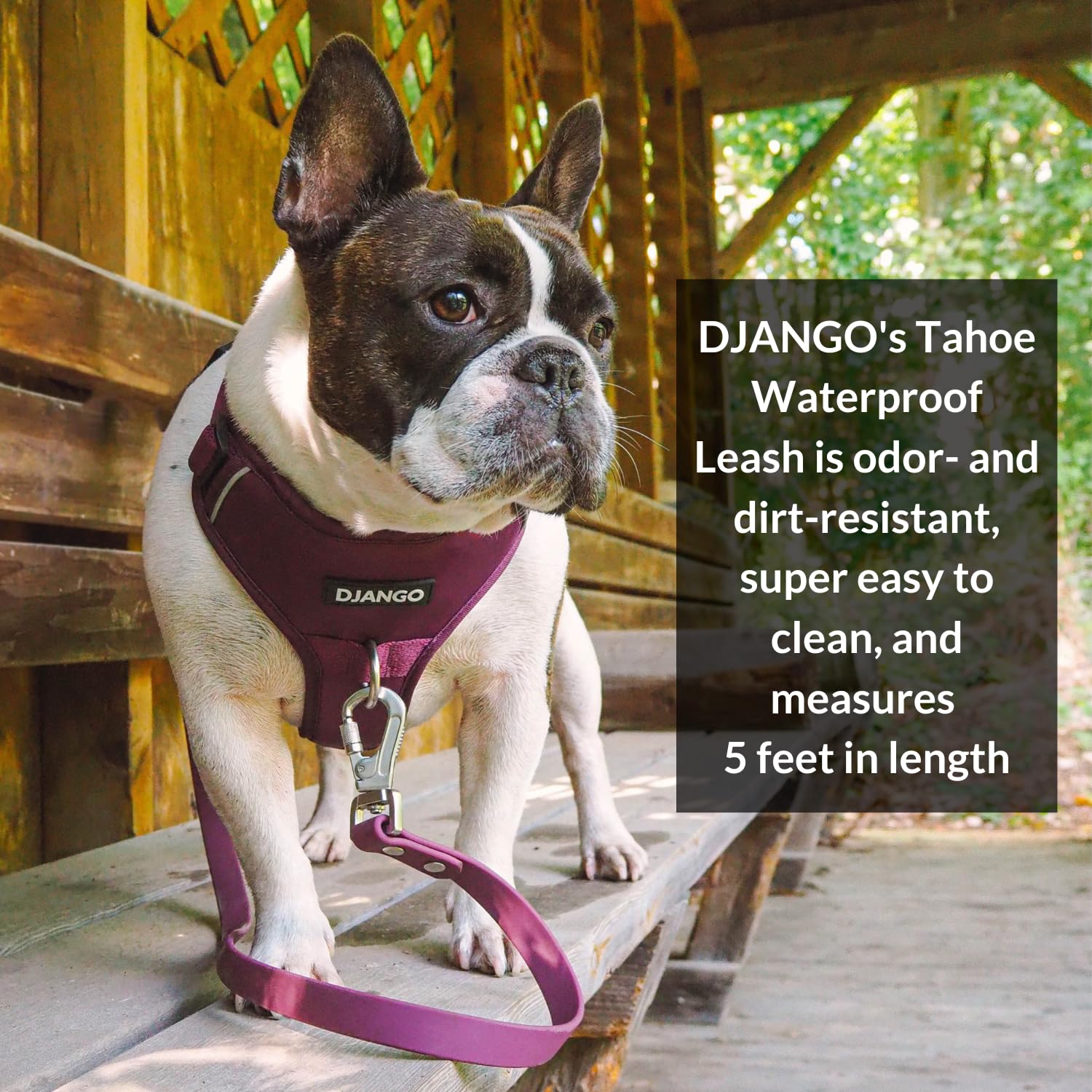 Correa para Perro Impermeable DJANGO Tahoe - Resistente, - Imagen 3