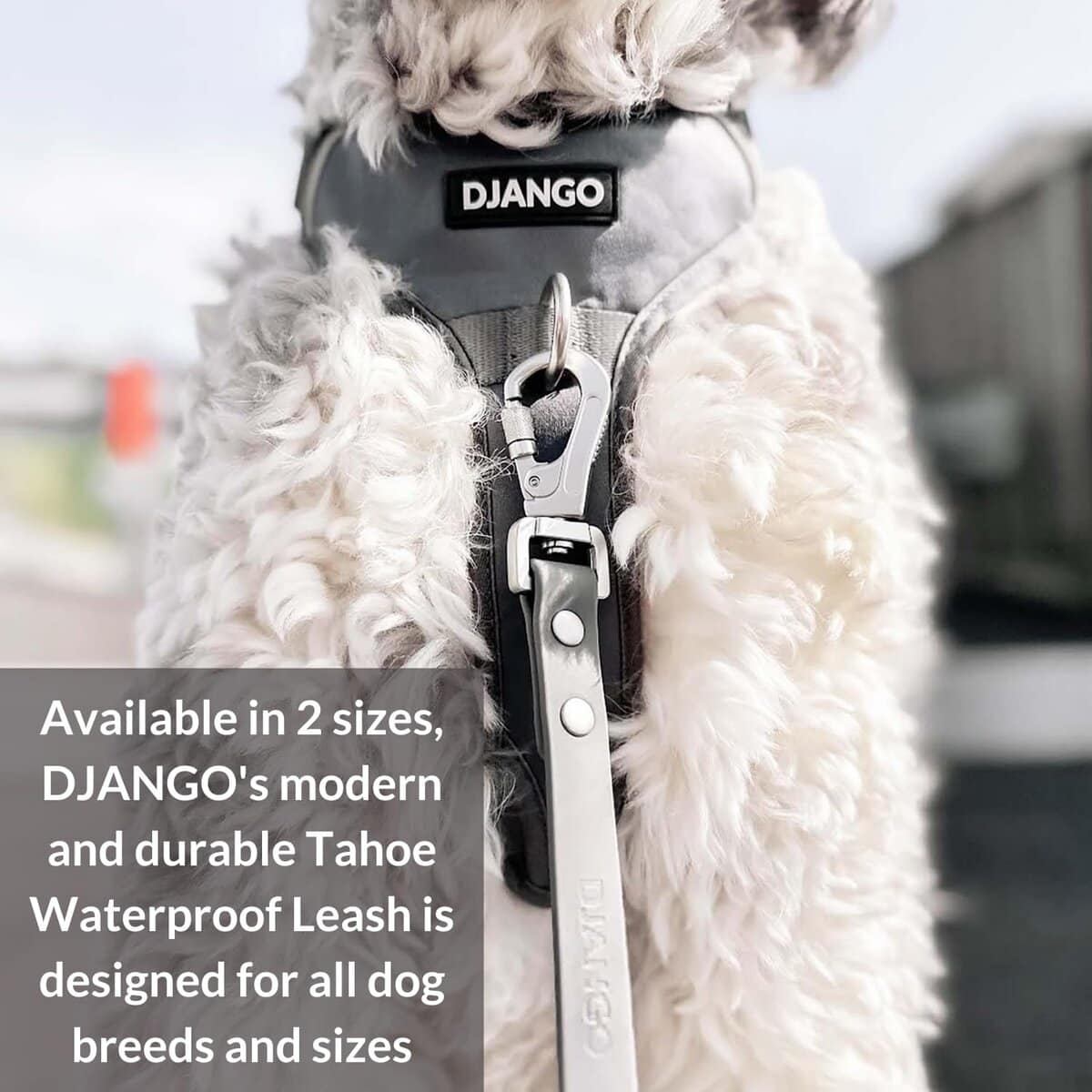 Correa impermeable para perros DJANGO Tahoe - Resistente, - Imagen 4