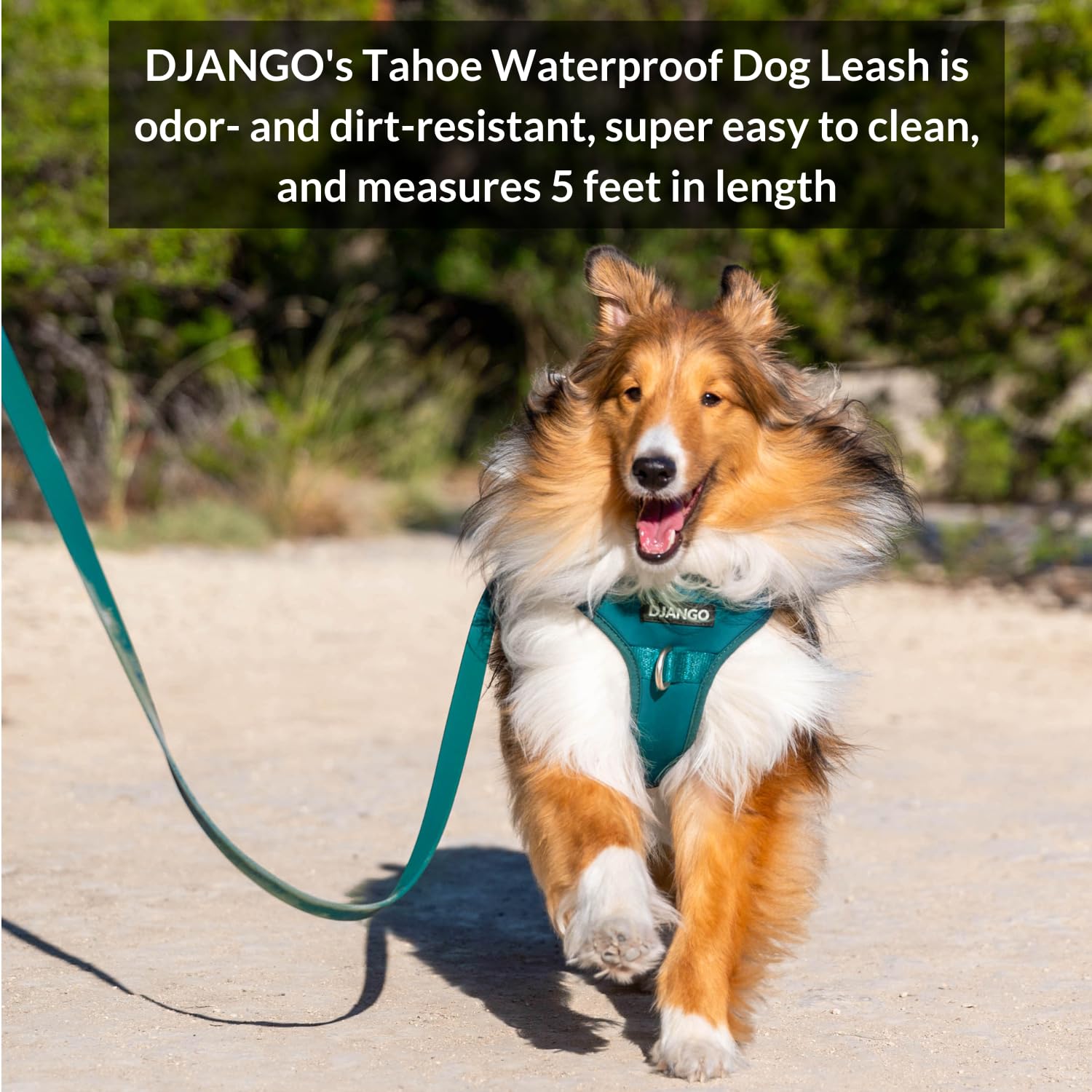 Correa para Perros Impermeable DJANGO Tahoe - Resistente, - Imagen 3