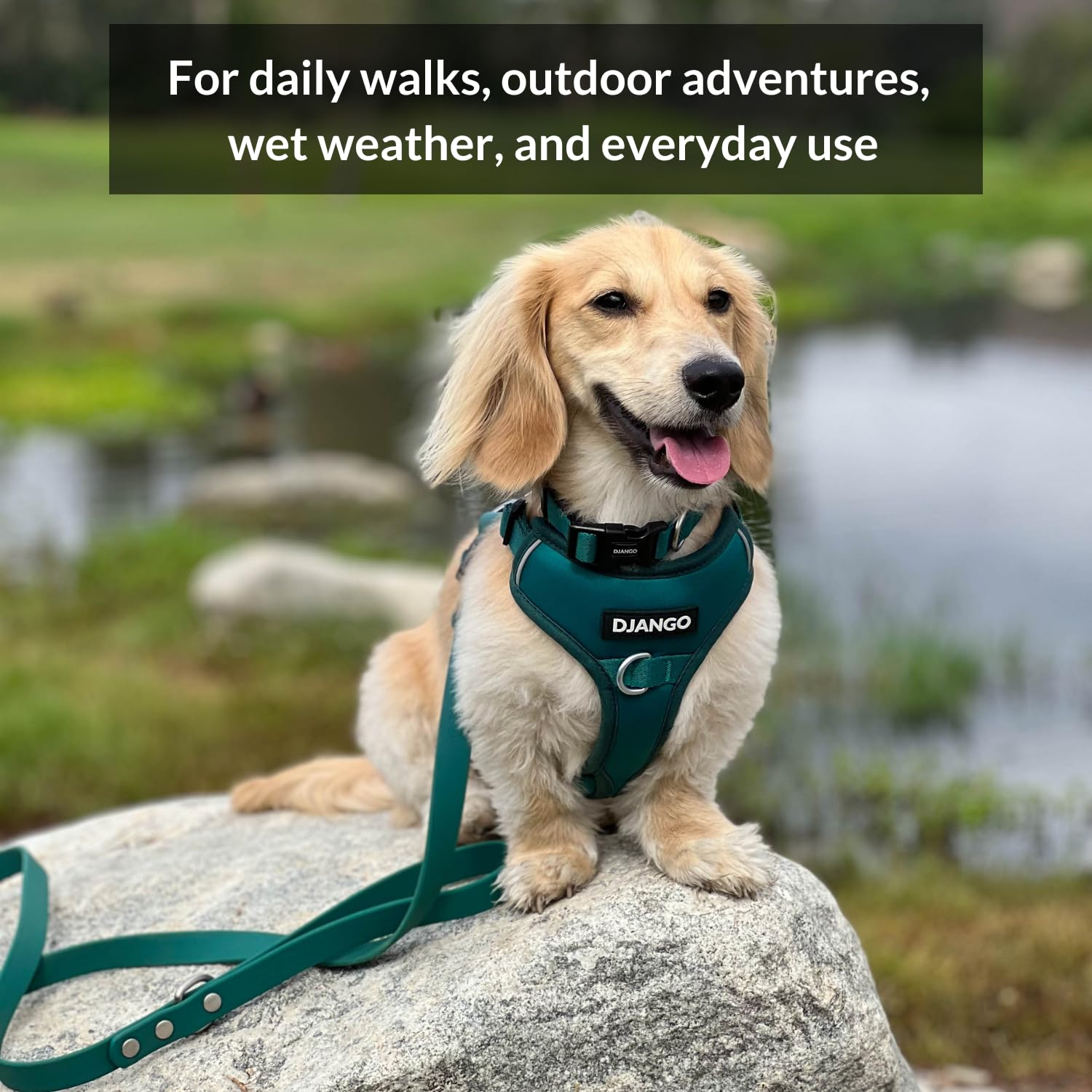 Correa para Perros Impermeable DJANGO Tahoe - Resistente, - Imagen 6