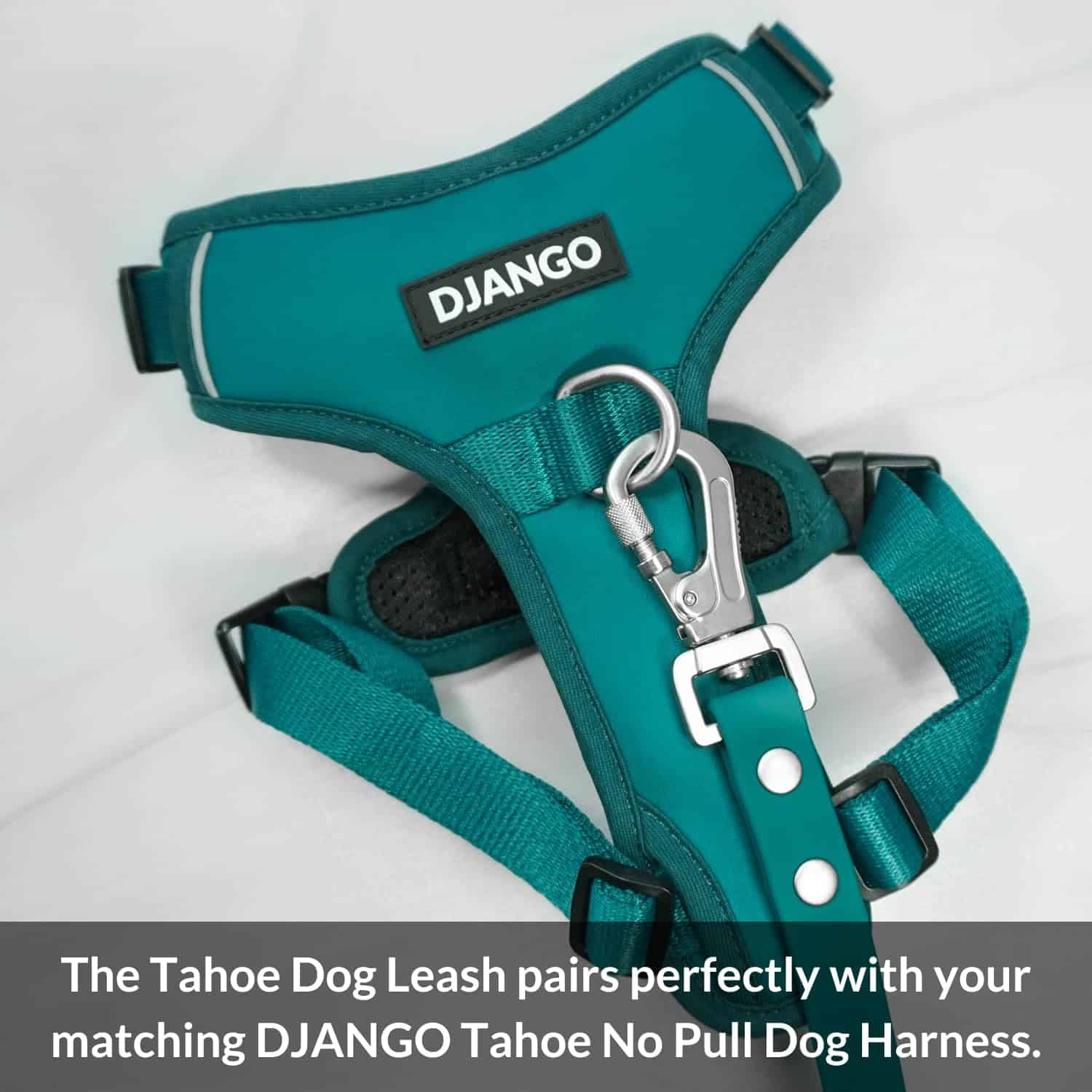 Correa de perro impermeable DJANGO Tahoe: Resistente, - Imagen 9
