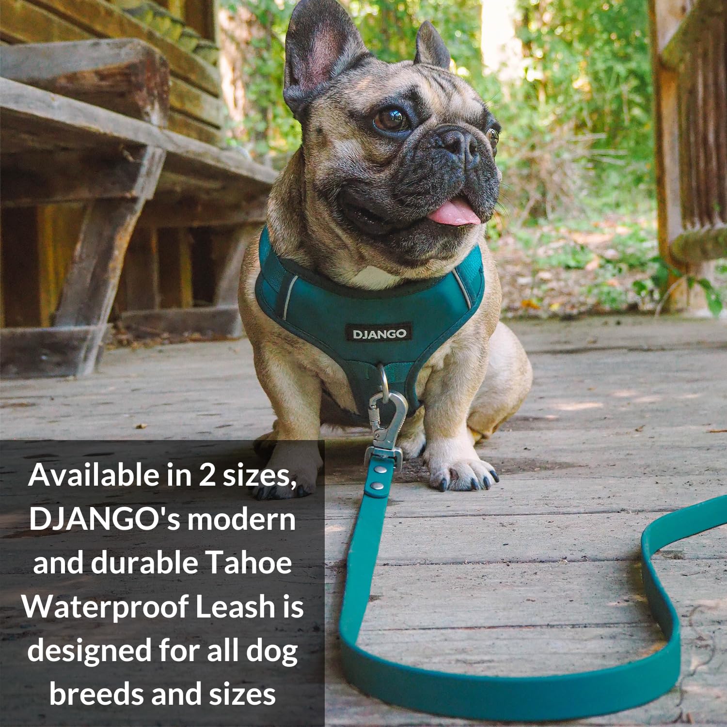 Correa de perro impermeable DJANGO Tahoe: Resistente, - Imagen 8