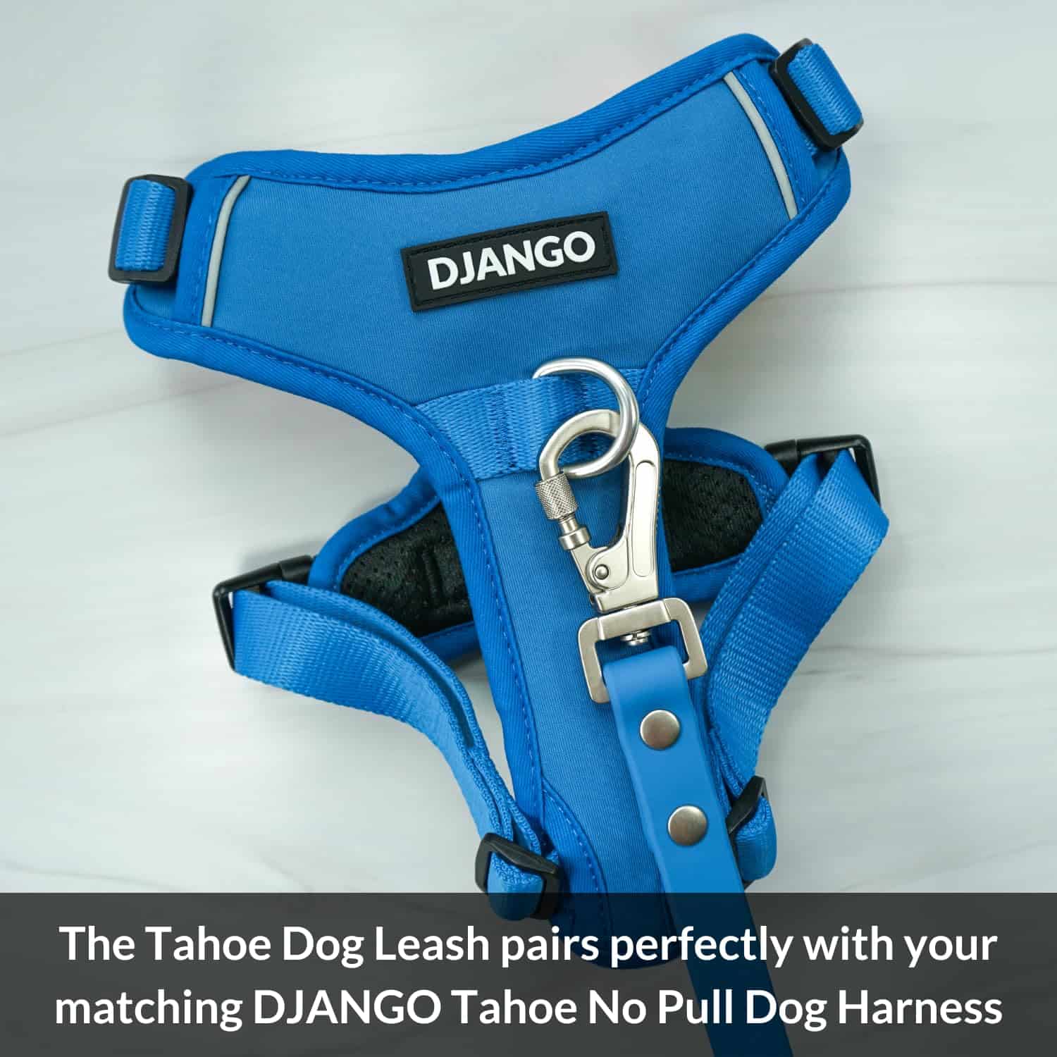 Correa para Perros Impermeable DJANGO Tahoe - Resistente, - Imagen 10