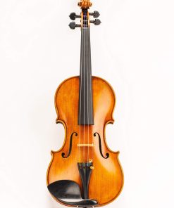 Violín de tamaño completo 4/4 Maestro Old spruce Stradi D Z