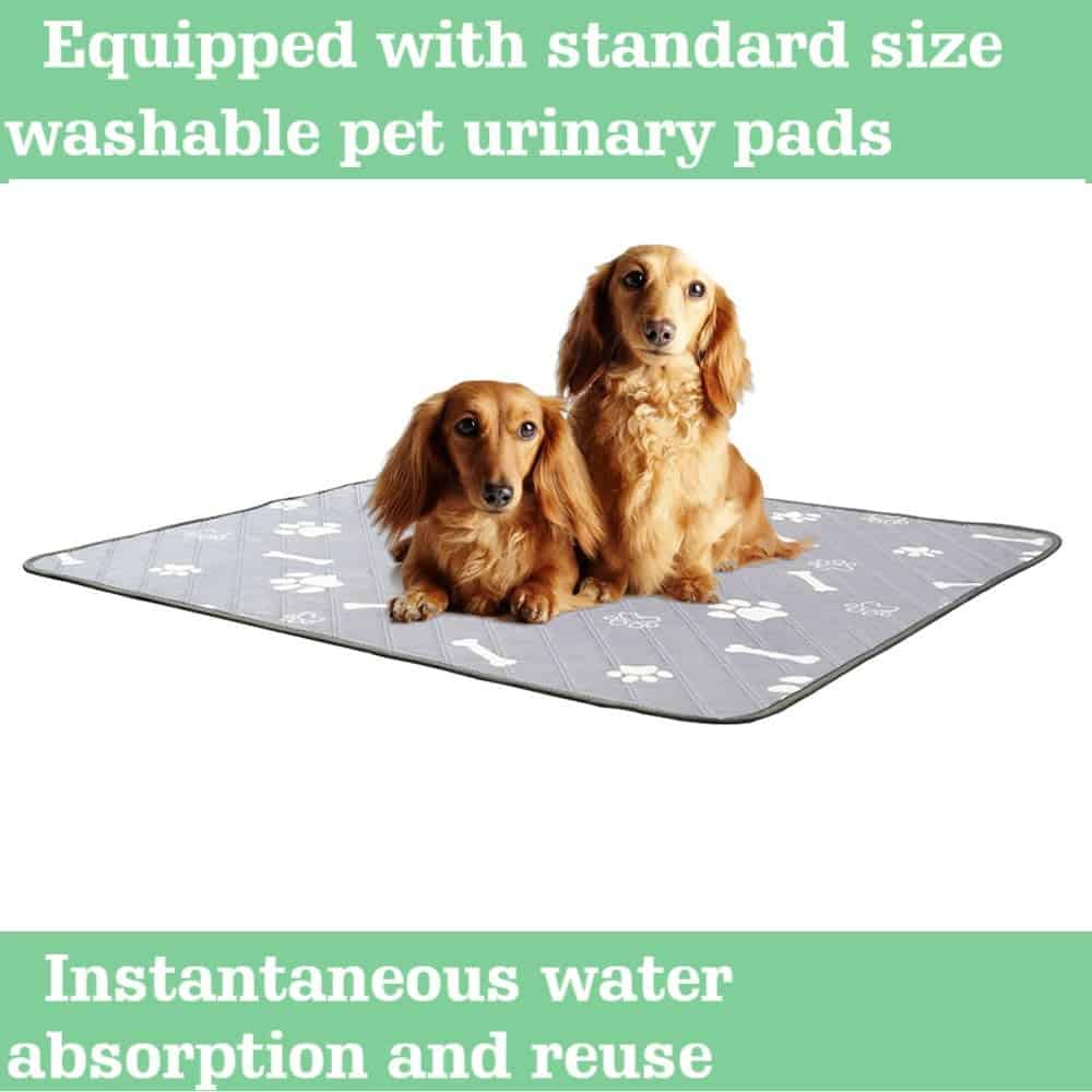 Caja de Parto para Mascotas | Rieles para Mascotas | Caja - Imagen 8