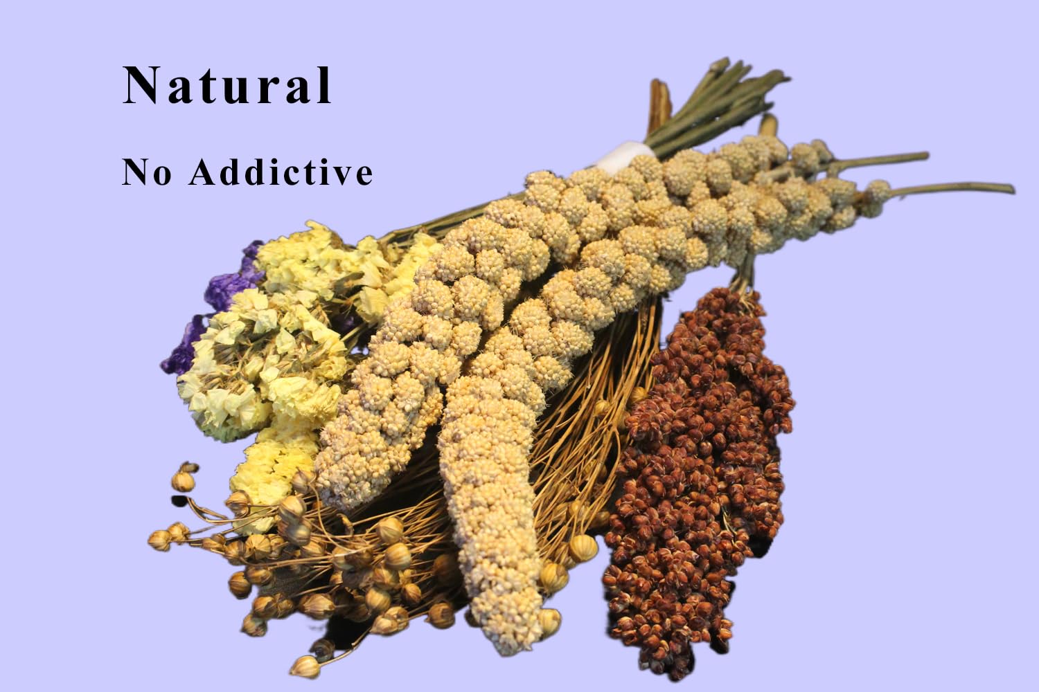 JFWOD Camas Naturales para Hámster Flores Hierbas Ramas - Imagen 10