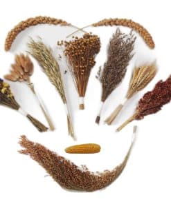 JFWOD Camas Naturales para Hámster Flores Hierbas Ramas