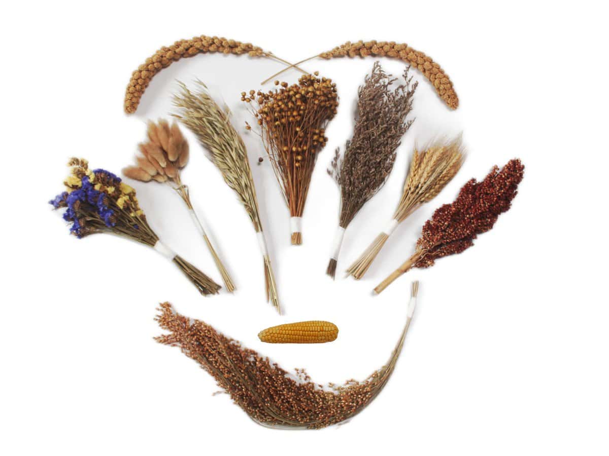 JFWOD Camas Naturales para Hámster Flores Hierbas Ramas